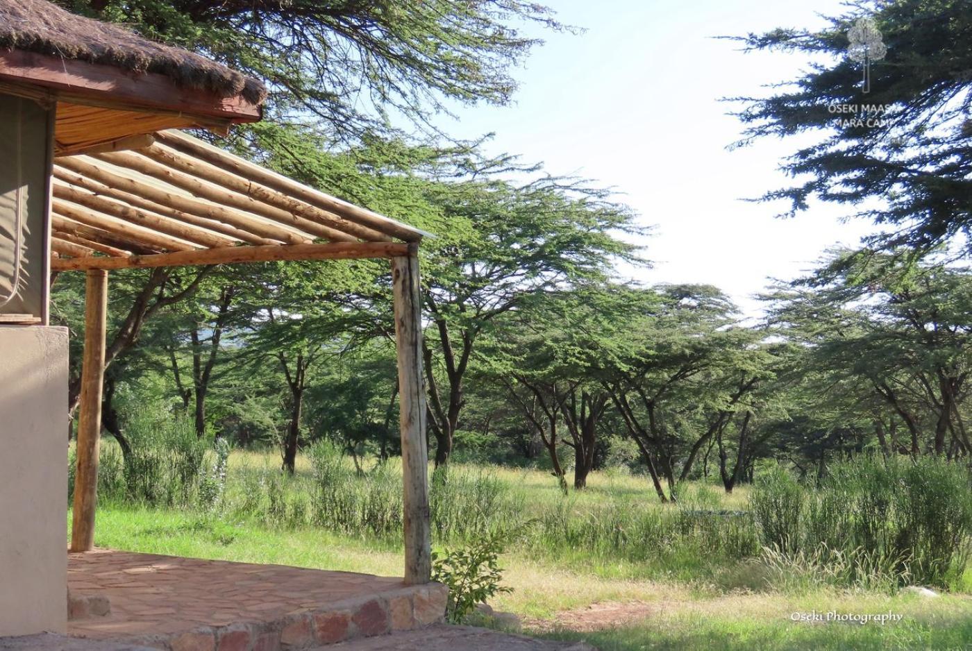 Oseki Maasai Mara Camp Hotel Narok Kültér fotó