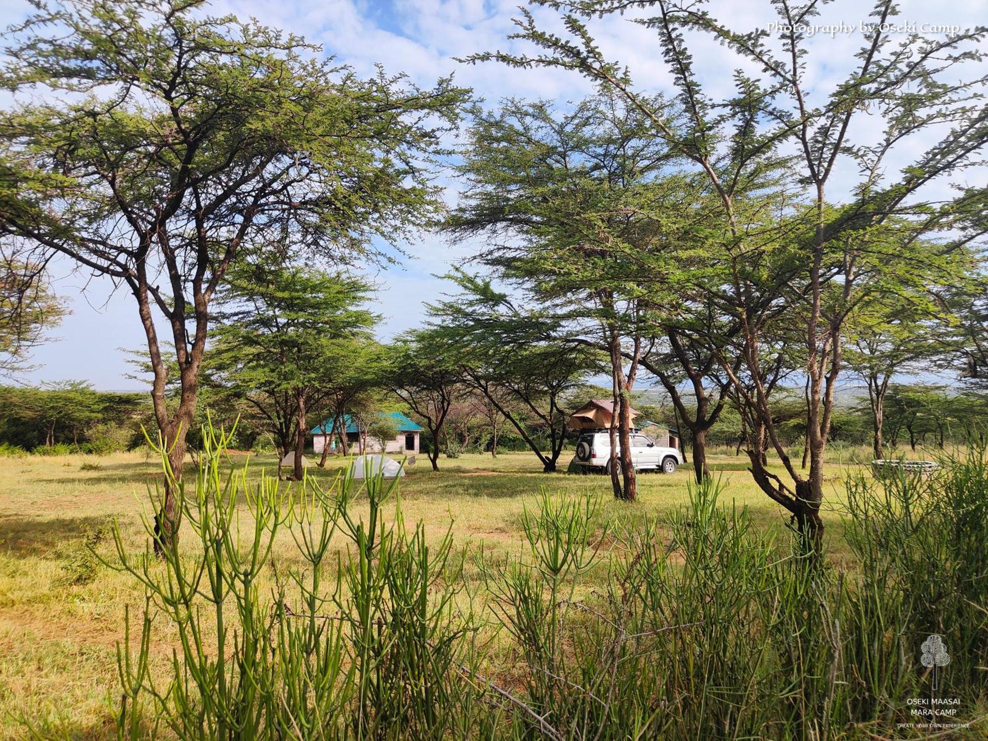 Oseki Maasai Mara Camp Hotel Narok Kültér fotó